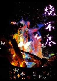 烧不尽最新番外