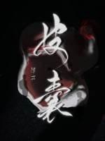 皮囊第六季