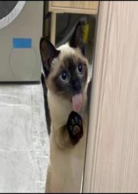 慢慢喜欢你的男主角是谁