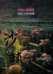 沙棘果