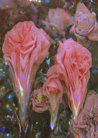 全员变态 强制高潮by蜜丝苏