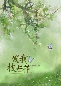 枝上花歌词