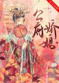公府娇媳讲的什么
