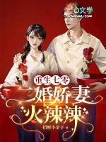 二婚娇妻火辣辣全文免费阅读