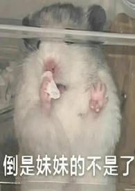她太过分