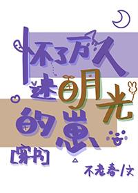 怀了万人迷情敌的孩子24章