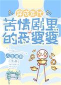 年代文恶婆婆