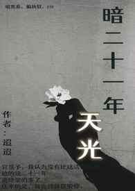 暗二十一年天光百度