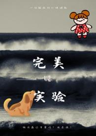 完美产品实验破解