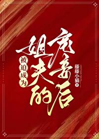 被迫成为姐夫的宠妾后藤藤小猫