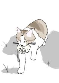 十八线男配上位