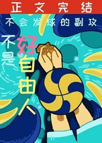 排球少年攻手