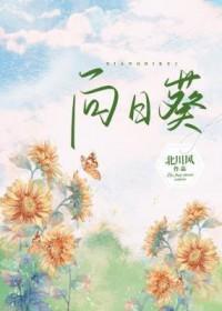 向日葵客服投诉方案