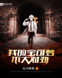 我的宝可梦不太对