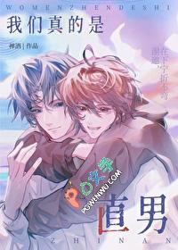 我们真的是直男txt