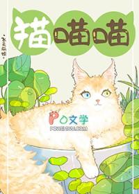 捡到流浪小猫