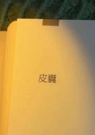 皮囊出轨h裴容