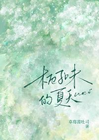 栀子味的夏天免费阅读