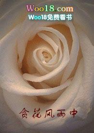 贪花风雨中txt全文阅读
