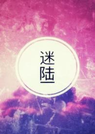 迷陆是什么意思