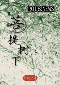 菩提树下全集简介