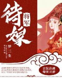 将军嫁到2