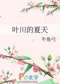 叶川的夏天攻