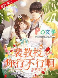 裴言叶沐全本笔趣阁