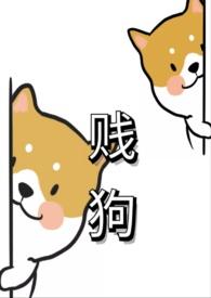 贱狗是什么意思