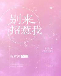 别来招惹我全文免费阅读番外
