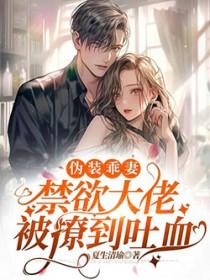 伪装by