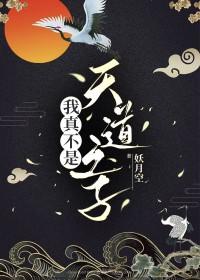 我真不是天道免费阅读