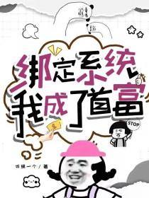 我成了首富TXT