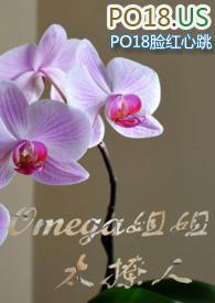 omega姐姐太撩人(百合ABO)