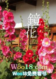 镜花abo rro