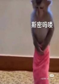 泡芙小姐属于什么动漫