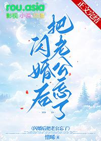 闪婚后把老公忘了百度