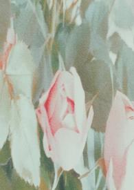 谁来拯救我英语怎么说