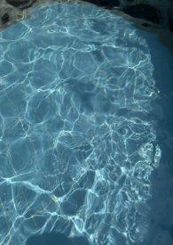 无风海域马尾藻区域图