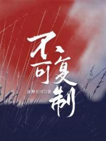 不可复制的模式