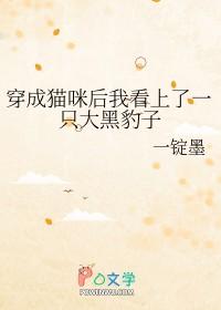 穿成猫咪后我看上一只大黑豹子免费
