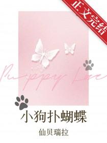 小狗追蝴蝶的一些动作