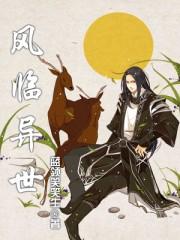 风临异世简介