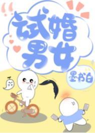 试婚什么意思