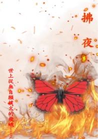 拂夜晚风