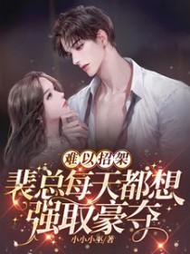 裴总夏天免费