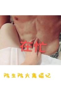 陈生陈太离婚记百度