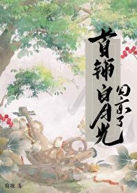首辅白月光回京了百度