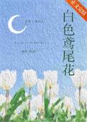 鸢尾花 白色