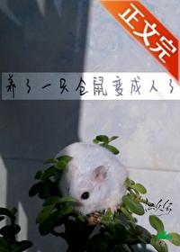 仓鼠变1+23